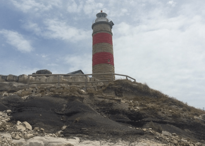 Cape Moreton Lighthouse Pic